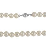 Bella Donna Damen Perlenkette 925/000 Silber Süßwasser-Zuchtperlen weiß 9,0 – 9,5 mm 45 cm 635531 B003HID79I