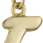 Amor Jewelry Unisex-Anhänger 8 Karat 333 Gelbgold 307079 B00EQ0ODPS