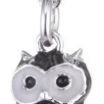 s.Oliver Damen Eule-Charm Silber 925 385404 B005FP4L14